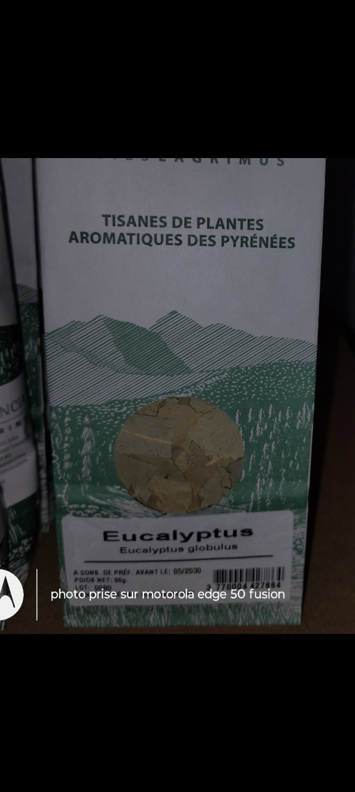 Tisane infusion de eucalyptus