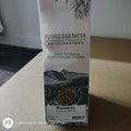 Tisane de romarin